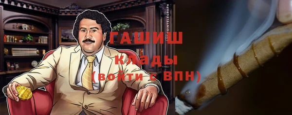 мдпв Новозыбков