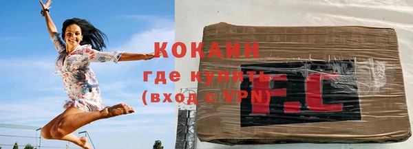 мдпв Новозыбков