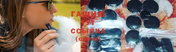 мдпв Новозыбков