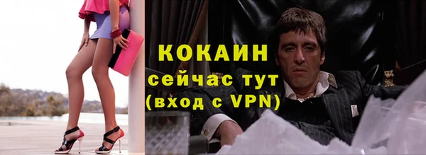амф Новодвинск