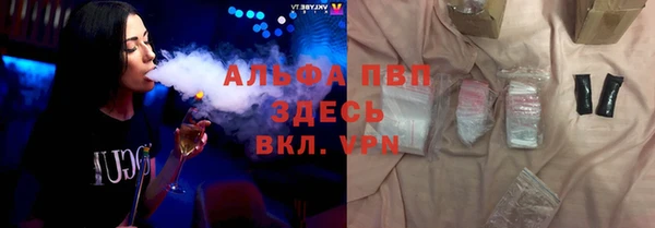 амф Новодвинск