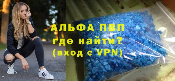 амф Новодвинск