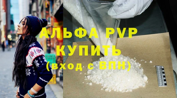 мдпв Новозыбков