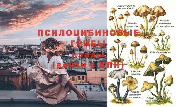 амф Новодвинск