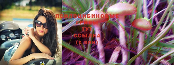 мдпв Новозыбков