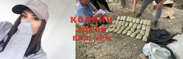амф Новодвинск