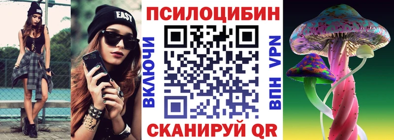 Купить  Карачаевск  Галлюциногенные грибы прущие грибы 